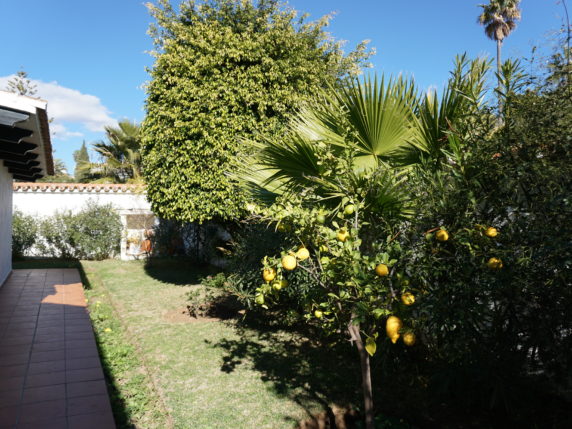 Image 29 of 29 - Beautiful villa with large plot close to the beach with many possibilities