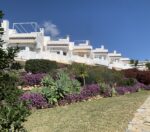 Click to enlarge image: 001_Garden2433